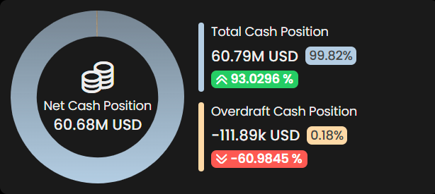 Net Cash Position